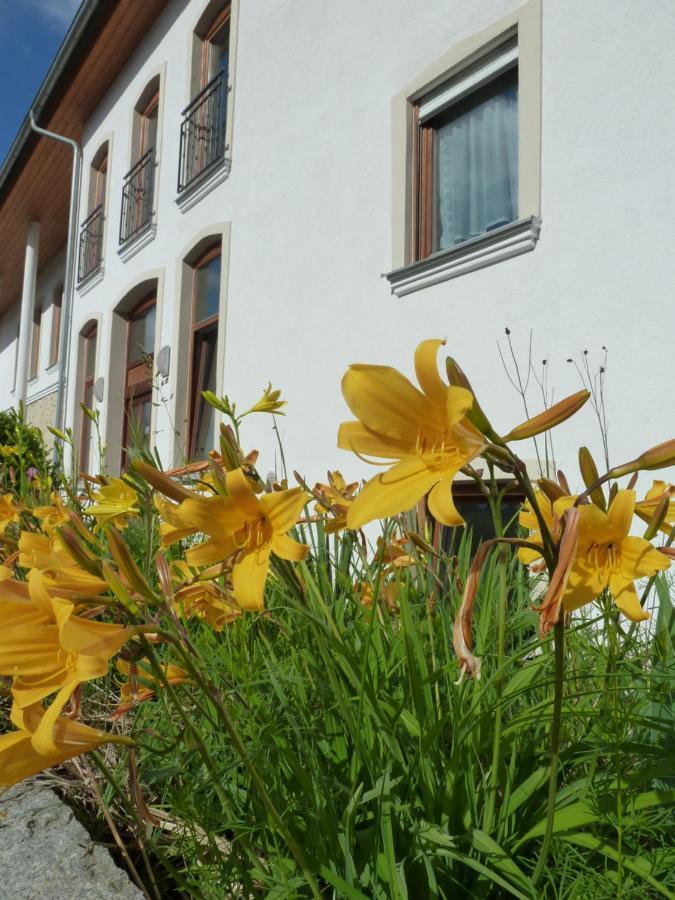 Ferienwohnungen Am Buechlhof Im Oberpfaelzer Seenland Neunburg vorm Wald Eksteriør bilde
